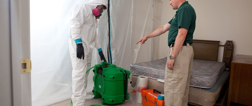 Newington, CT mold removal process